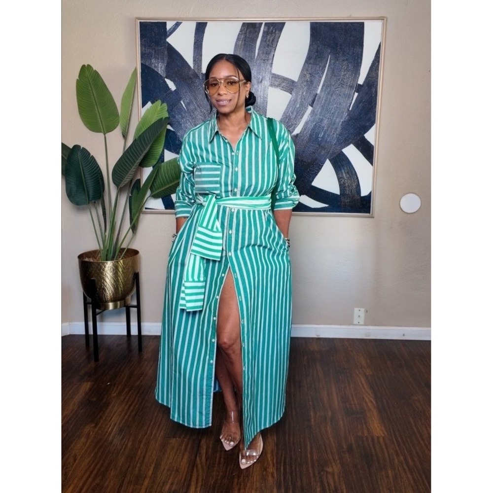 Rosie Assoulin x Target M Medium Tie-Waist Striped Poplin Maxi Shirt Dress LS - Picture 9 of 11